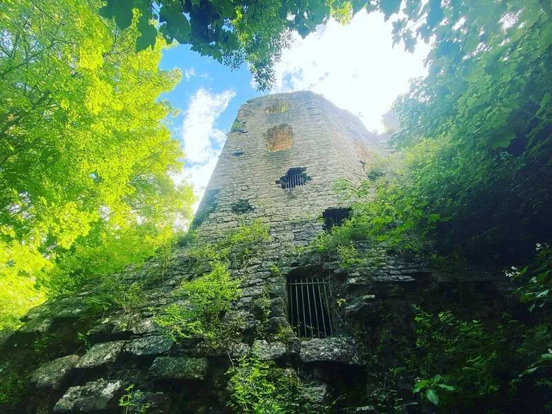 Denbigh Castle